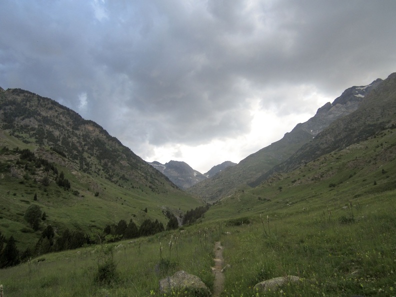 IMG_4130.jpg