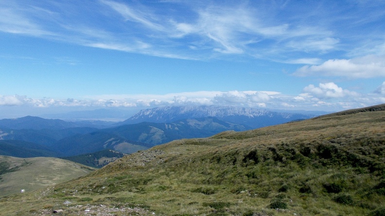 DSCN0426.jpg