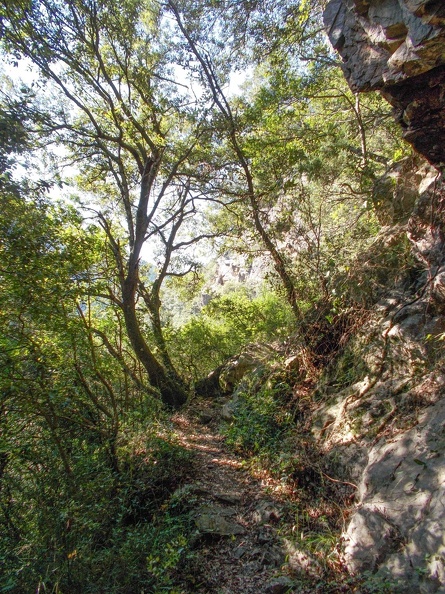 DSCN1425.jpg