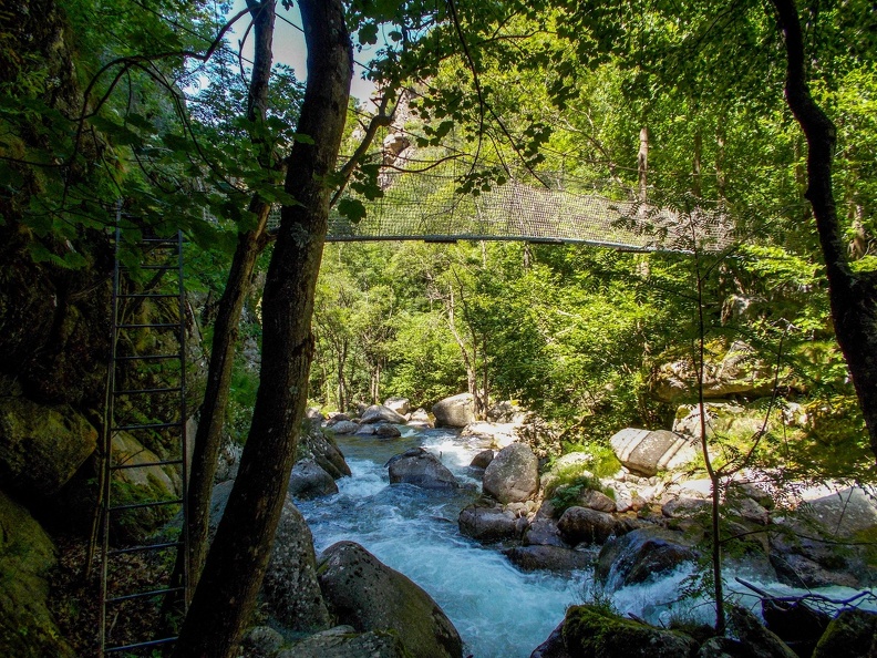 DSCN1753.jpg