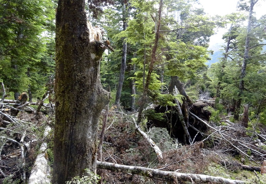 DSC00932 (367 visits) DSC00932