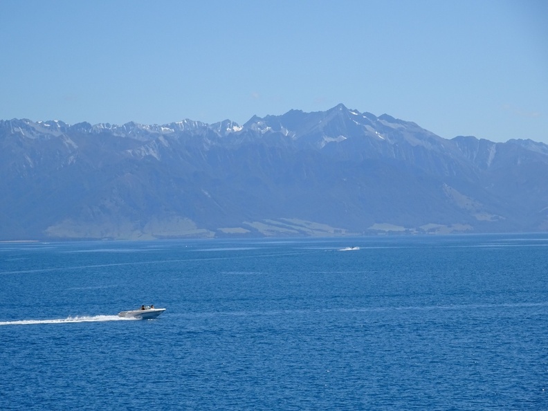 DSC01285.jpg
