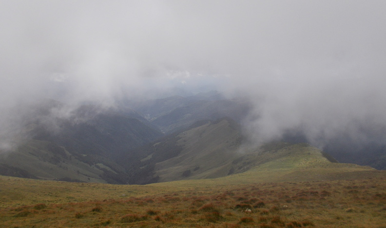 DSCN4225.jpg