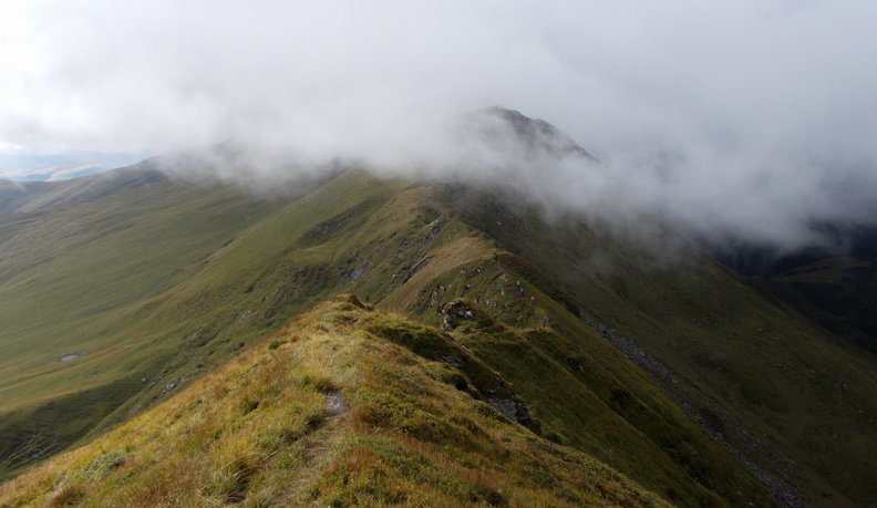 DSCN4239.jpg