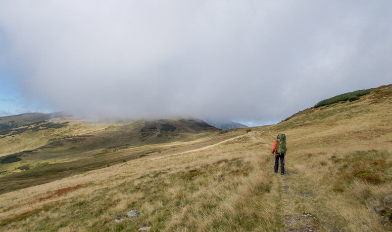 DSCN4298.jpg