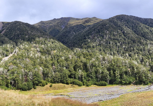 20250222 113739-Pano