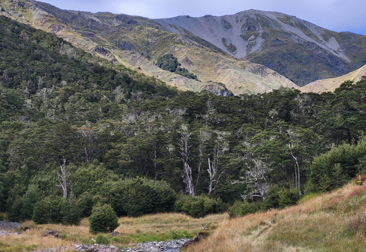 20250222 120939-Pano