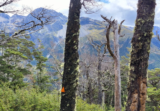 20250225 163432-Pano