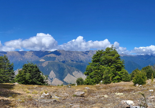 20250228 134723-Pano