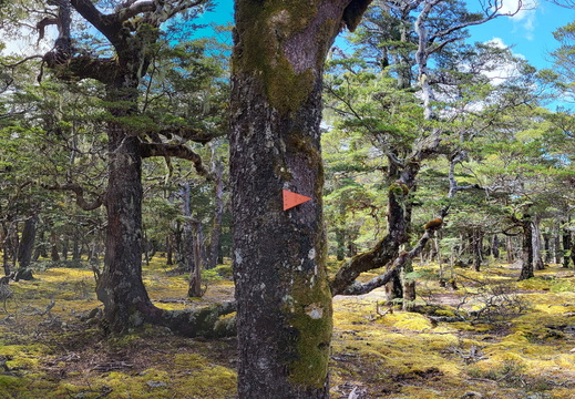 20250228 141641-Pano
