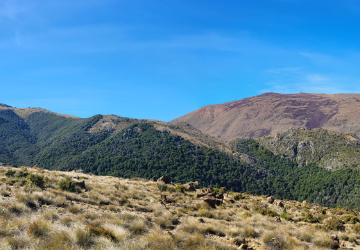 20250302 111844-Pano