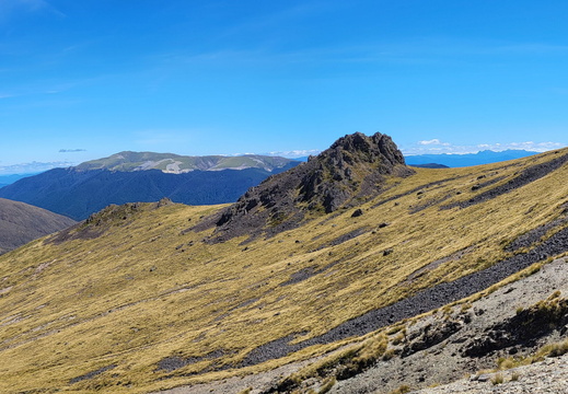 20250302 134632-Pano