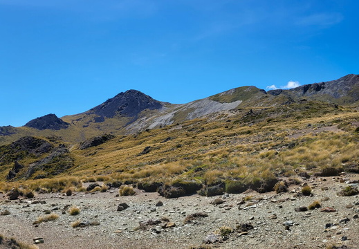 20250302 141748-Pano